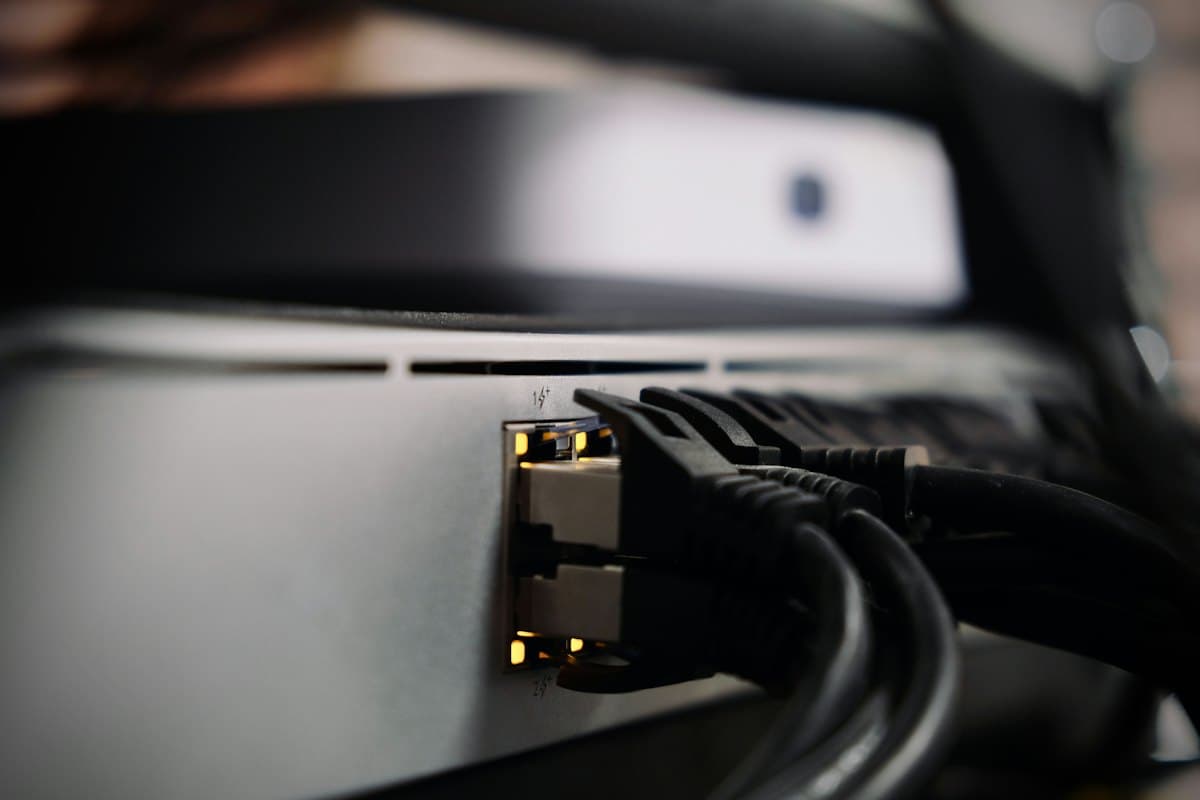 Ethernet cables plugged into a network device